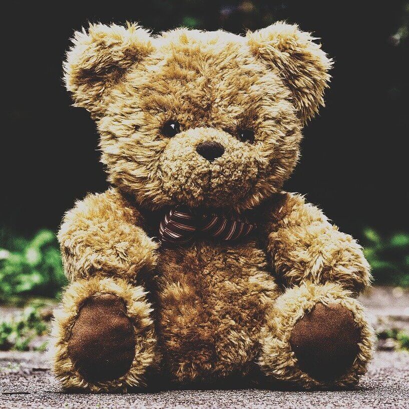 teddy bear, stuffed animal, teddy